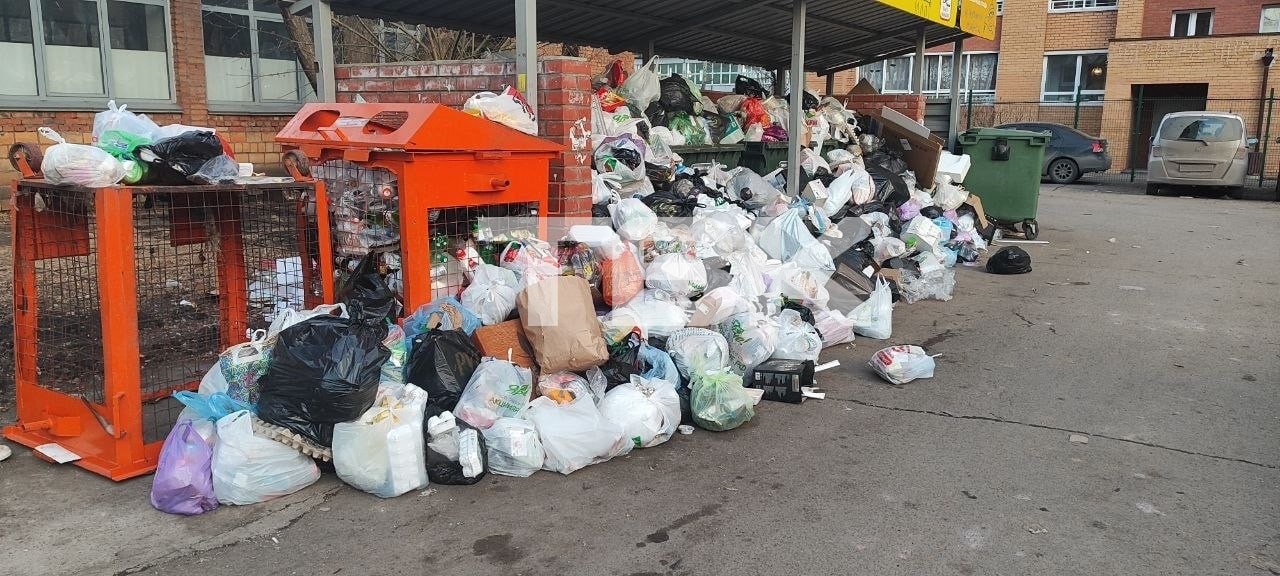 Незаконную мусорную площадку на Вавилова, 47В не убирают