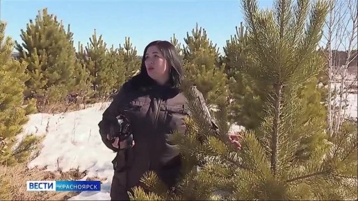 ��� ������������ ���������� ����������� ����� � ������� ����������