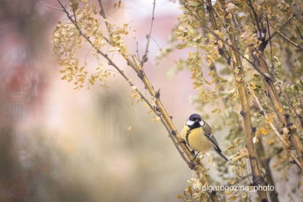 �������� � ��������� ����� ���������