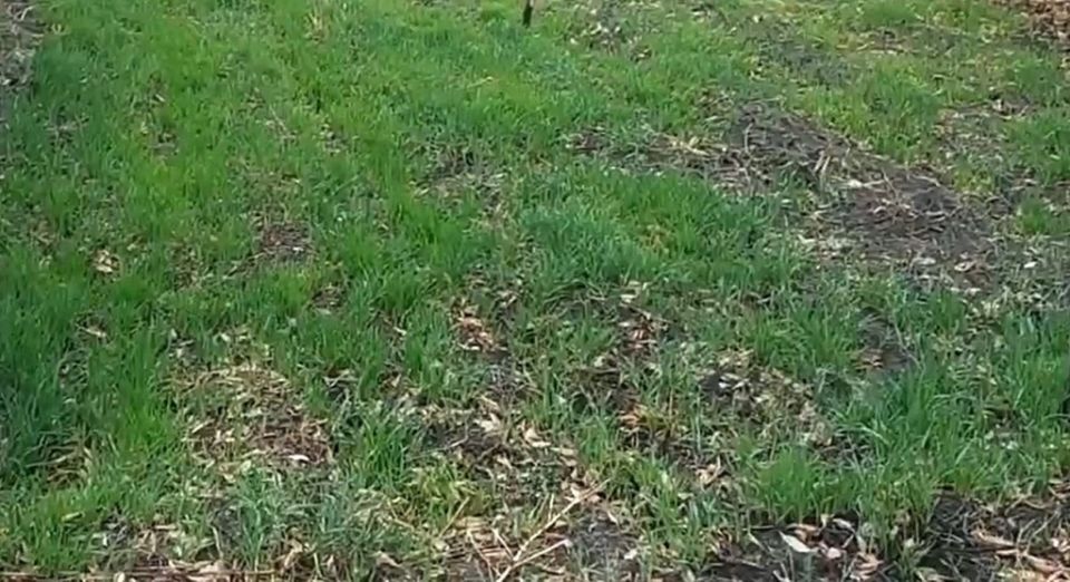 ���� ��� ������ ����: ������� ��������� ������������� ��������