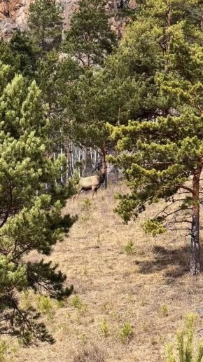 ����������� ������� �� ������������ ������!