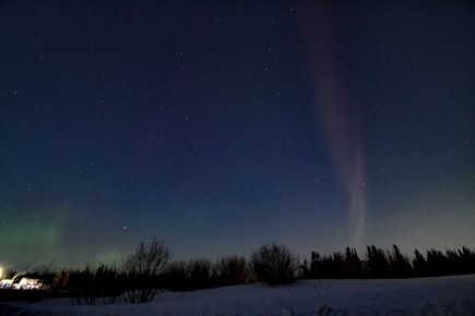 � ���� �� 3 ������ ��� ����� �������� ������ ��������� ������ ����������� ������� �Steve�