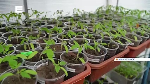 �� ��� ������������� ���� ������� ���������� ����� ��������