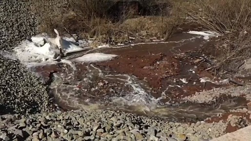 �� ������ �� �����: ����� �������� ��� ���������Ȼ