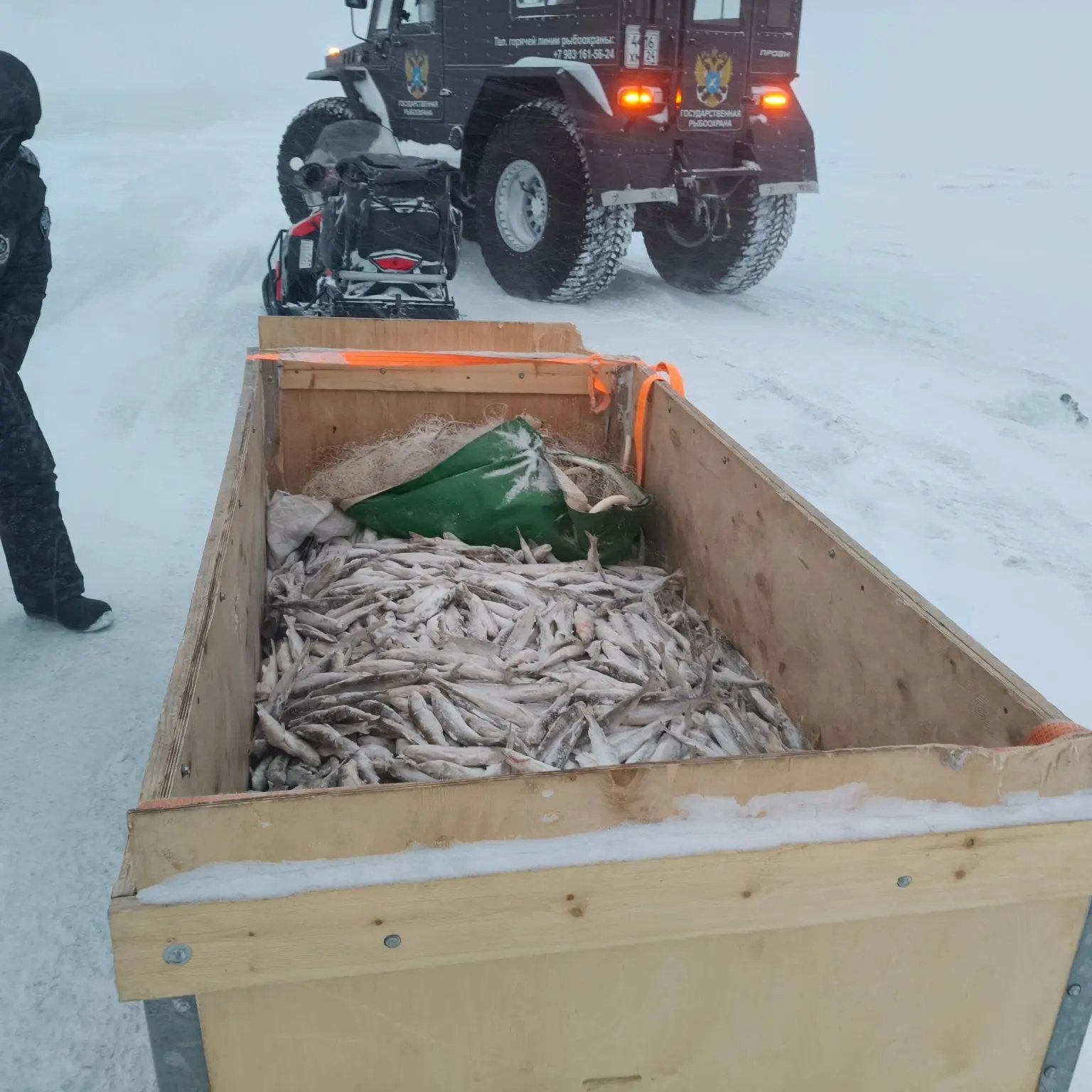 На севере Красноярского края у браконьеров изъяли 100 килограммов корюшки и два муксуна