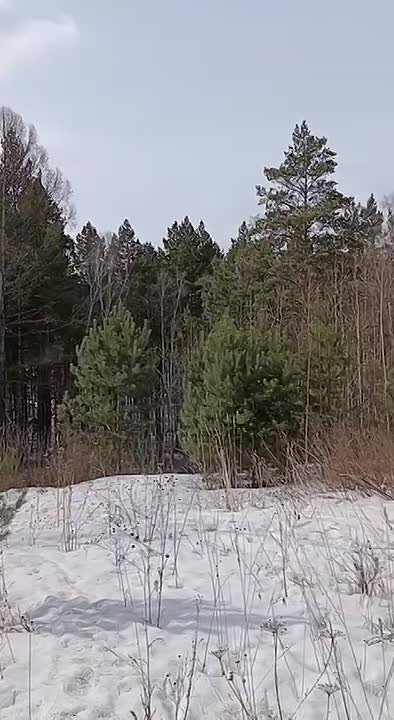 Поиски пропавшей в середине января студентки продолжаются в Красноярске