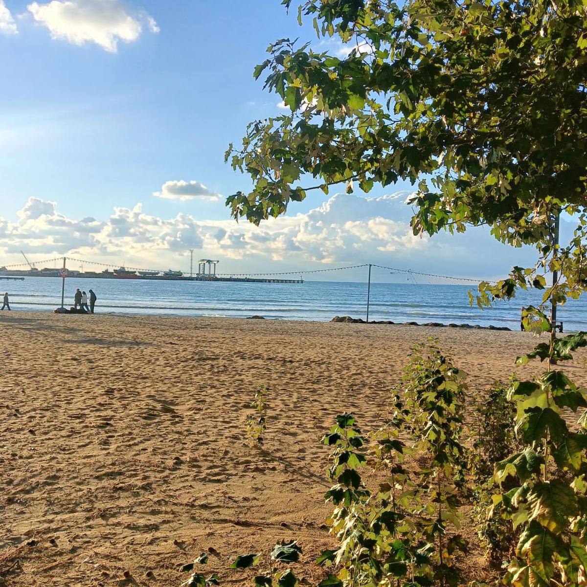 Ленивая ватрушка: Как быстро удивить гостей любимым десертом