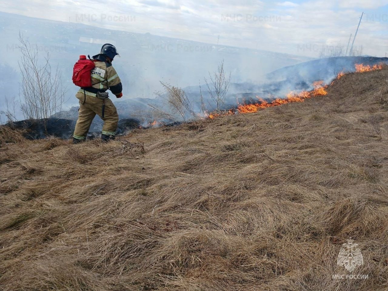 Главное управление МЧС по Красноярскому краю предупредило жителей об административной ответственности за сжигание сухой травы и мусора