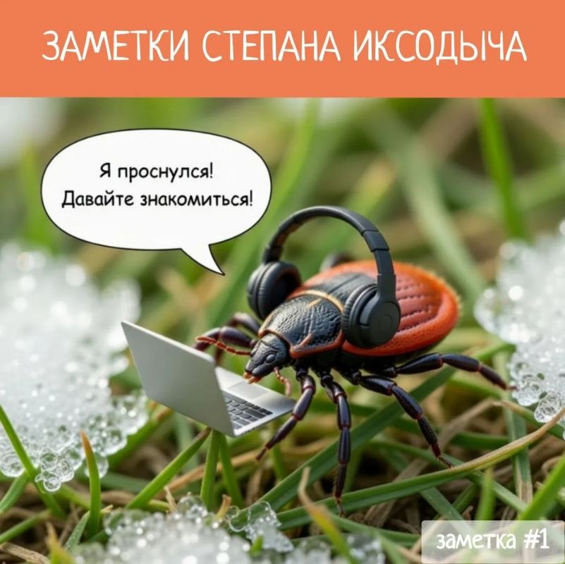 � ����������� ������ ������-�������