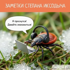 � ����������� ������ ������-�������