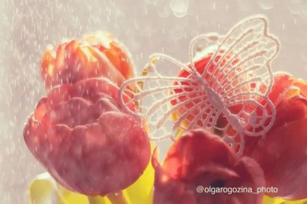 �������� ����������. ����: ����� �������� ������ ��� ����� � � MAX