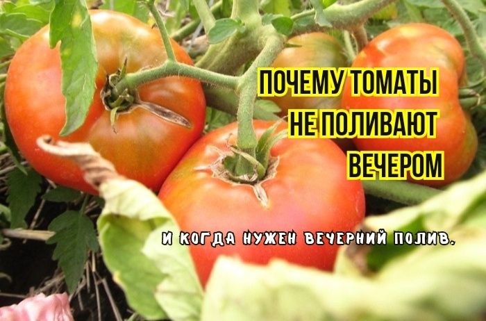 ������ �������� ����� ������� ����� ��������� ��� ������: ������ ���������