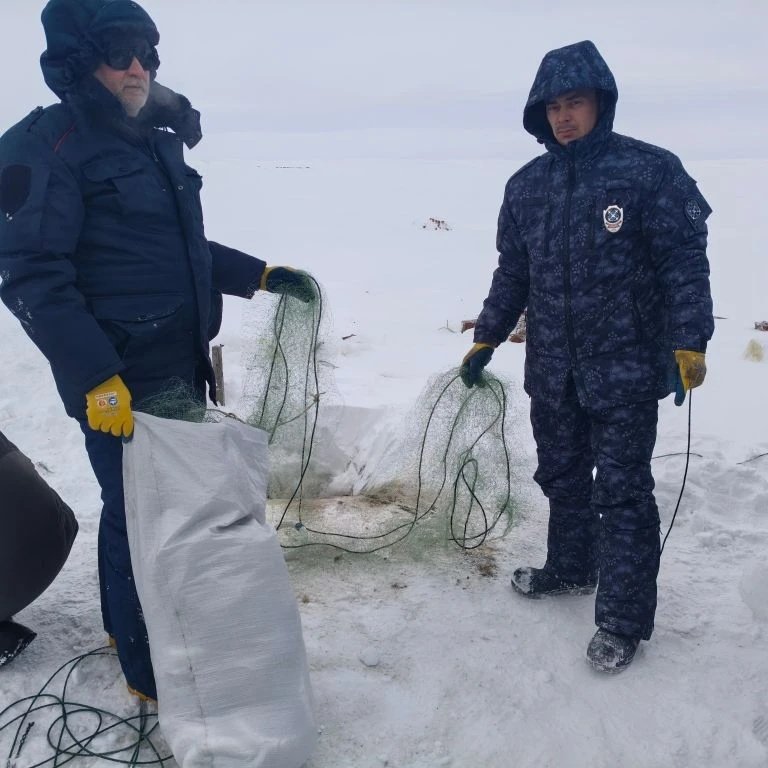 На севере Красноярского края у браконьеров изъяли 100 килограммов корюшки и два муксуна На севере Красноярского края у браконьеров изъяли 100 килограммов корюшки и два муксуна
