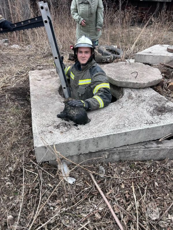 � ����� ���������� ��� ������ �����, �������� � 5-�������� �������