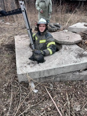 � ����� ���������� ��� ������ �����, �������� � 5-�������� �������