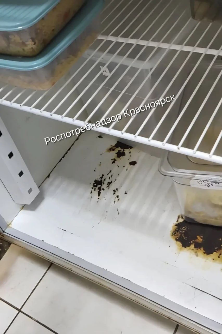 В Красноярске оштрафовали две кофейни за нарушение санитарных норм