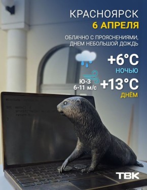 Погода на 6 апреля. Читать нас можно и в MAX