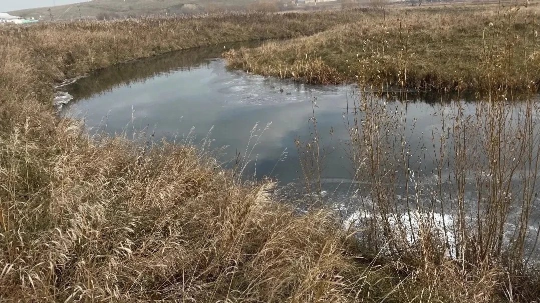 В Красноярском крае прокуратура остановила сброс нечистот в реку
