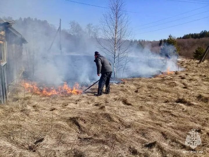 В Красноярском крае ввели вознаграждение в 10 тысяч рублей за информацию о поджигателях травы