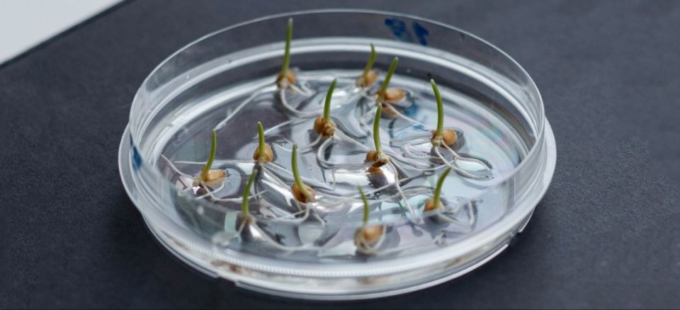 ��������� ������ ���������� ������������� ������ ������ �������� �� ����������� ��� ������ ��������