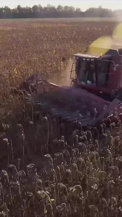 ����������� � �������� ��������, ������� ������������ ��������� ����� ��� ������������� ��������