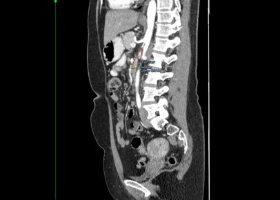 ��� ����� ��������� ���������: ������� �������������� ���������� � ������ ������������