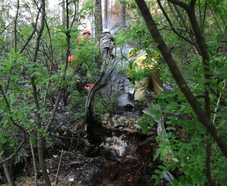 ����� �� �������: �� ���������� ����������� � ���������� �������� �������, ����������� �� ����������� ����� ����� �������� �� ����������� ���������