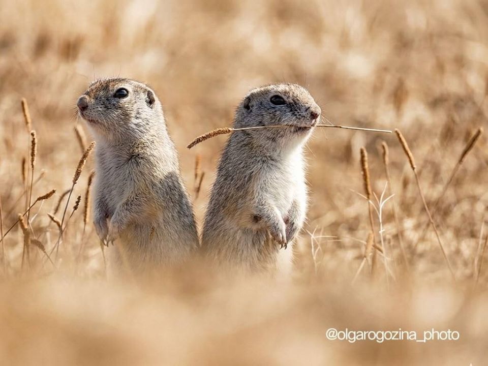 ������������ ������� �� ������ ����� ���������