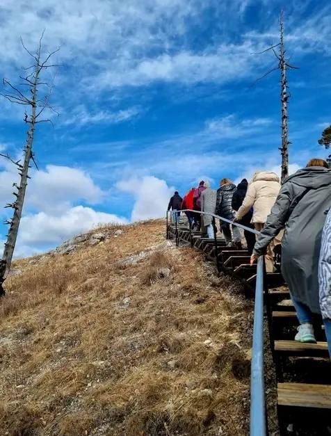 � ������ ������� ������� ������������� �����