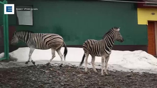 ����� �� ������ ������ ������ ������ � ������� �������