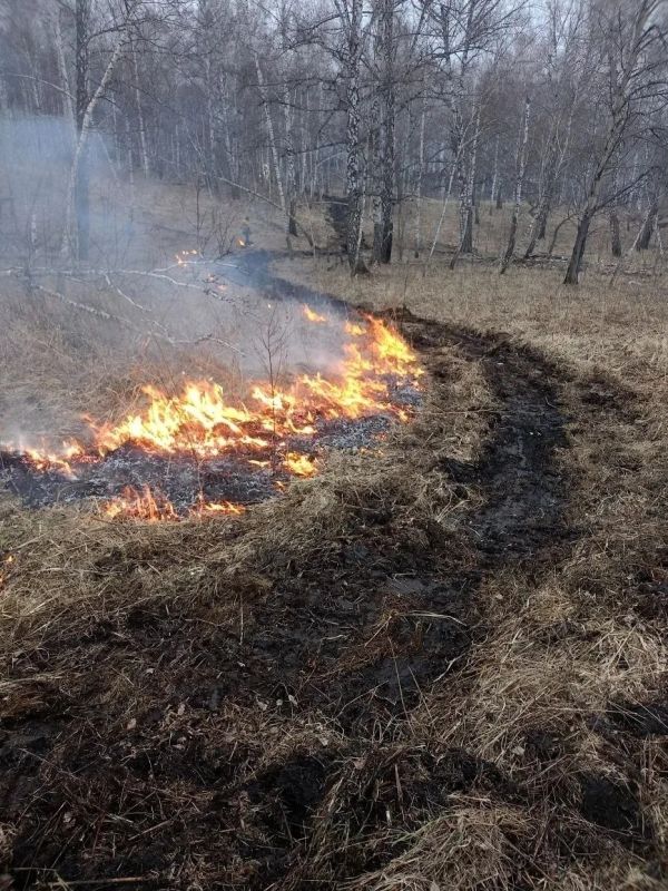 � �����������-������������� ������ ������������� ��� ������