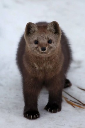 Прогулка по Забайкальскому национальному парку