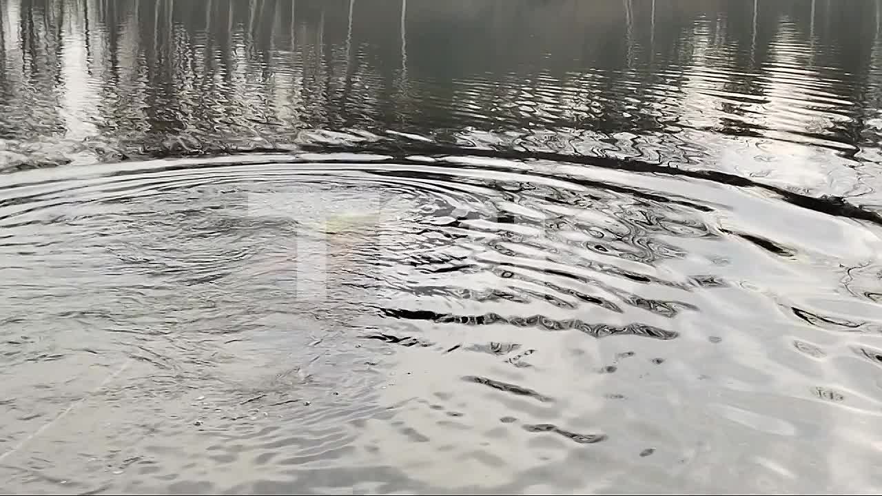 Старая покрышка, удочки и подушка: что нашли водолазы КрасКом в Енисее при обследовании дюкеров