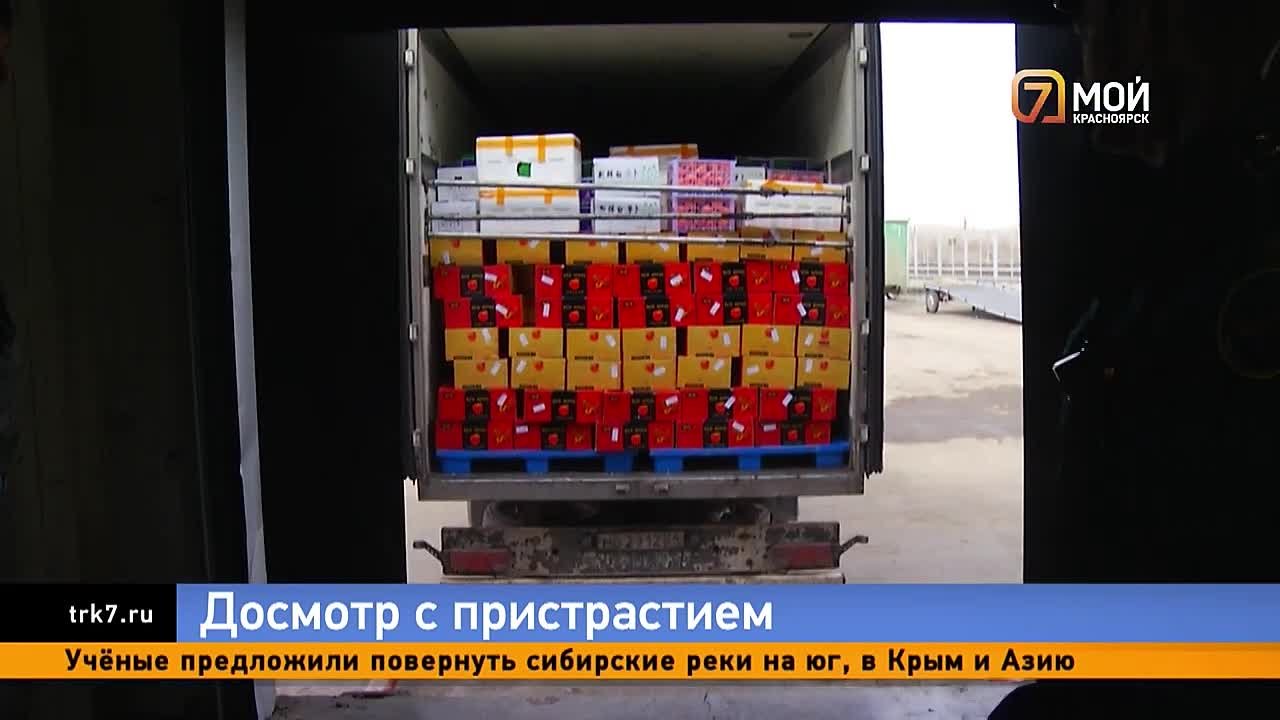 Южноамериканская томатная моль и западный цветочный трипс попытались пробраться в Красноярский край