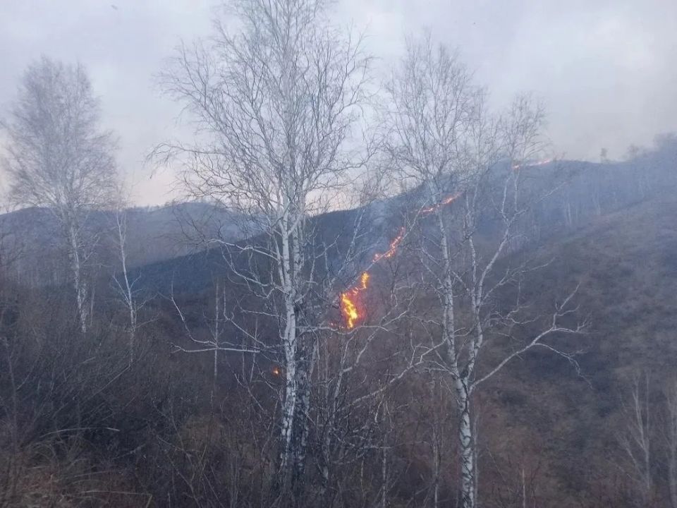 � �����������-������������� ������ ������������� ��� ������