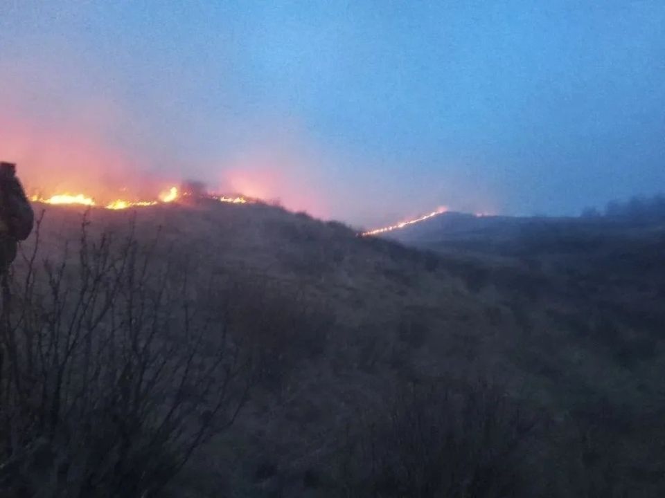 � �����������-������������� ������ ������������� ��� ������