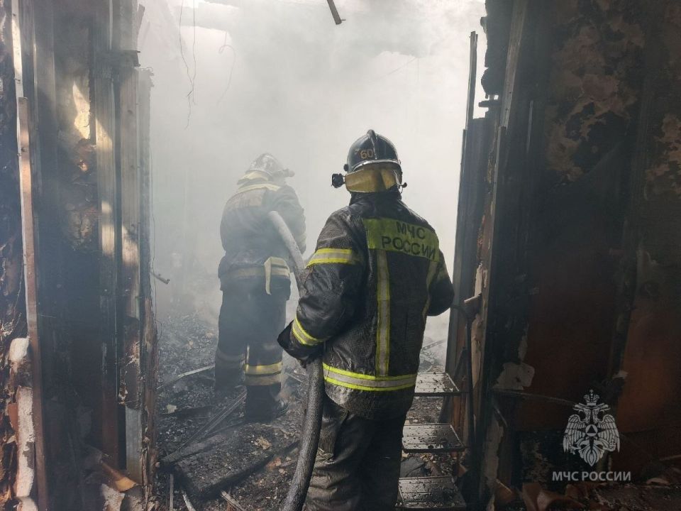 ����������� ����� �����.