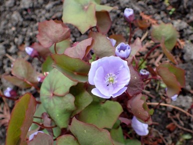 ������������ � �������� ������: �������������� �� ���� �����