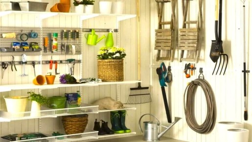 ��� ������������ ������������ �� ���� � ������: �������� ������