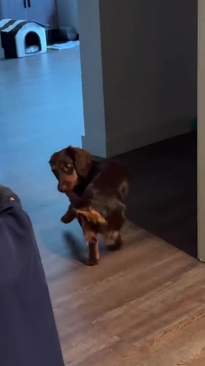 Когда в пятницу у всех «дела», «планы» или просто «ой, я чет устал», приходится брать ситуацию в свои руки