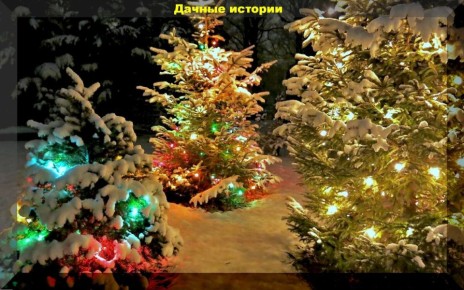 ������� ��������: ��� ������� ��������� �������� ��� ����