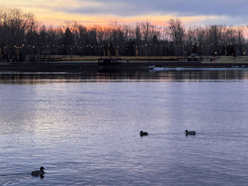 ������ �����. ���� ��������