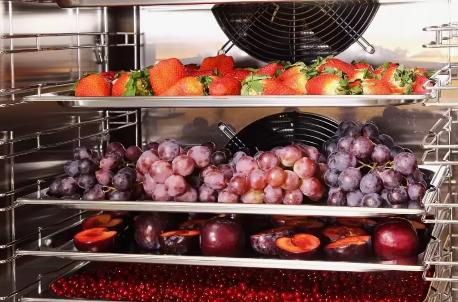 Современные холодильники: как система быстрой заморозки меняет подход к хранению продуктов