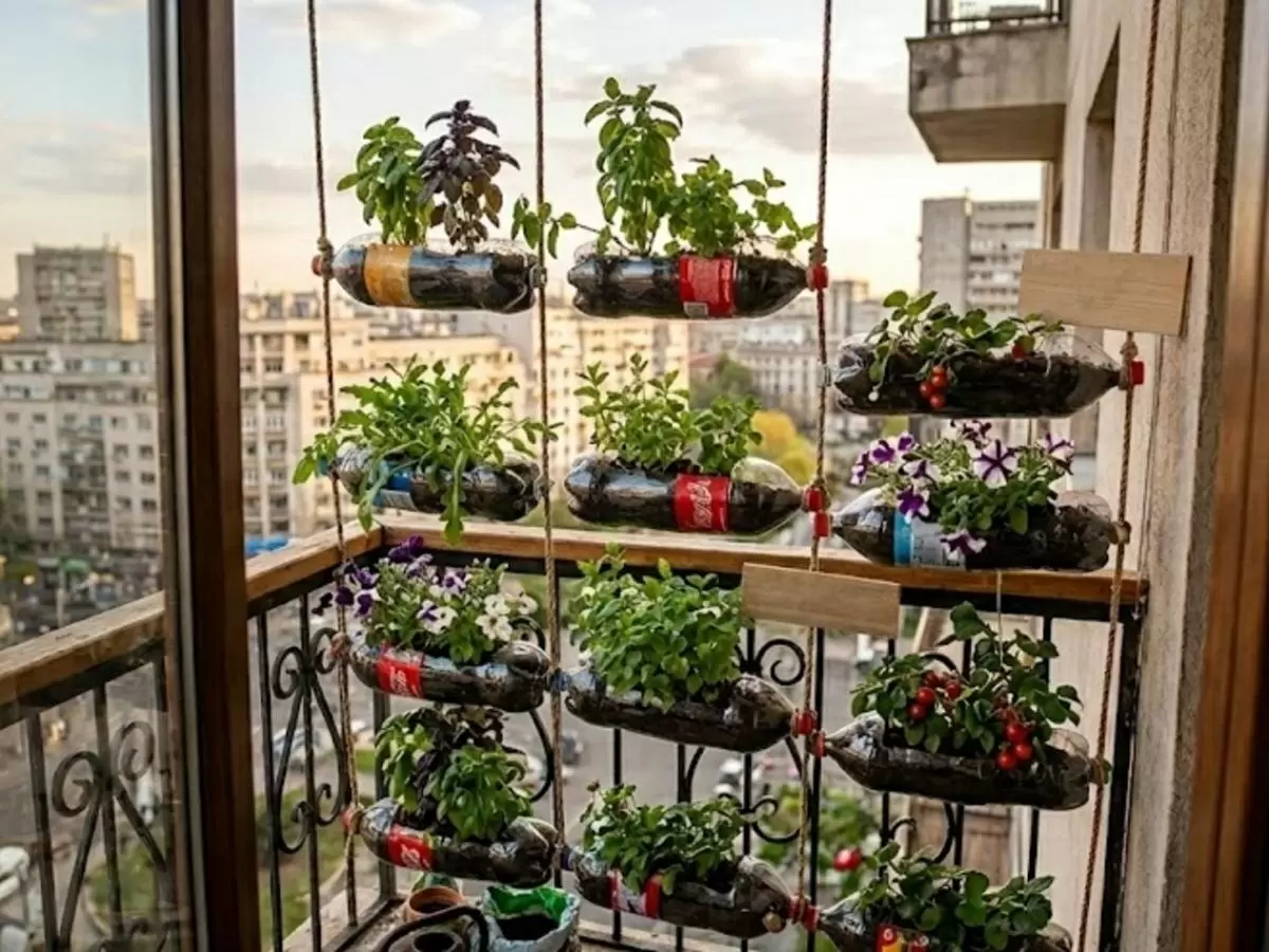 Как старые бутылки могут стать основой вашего урожая на балконе