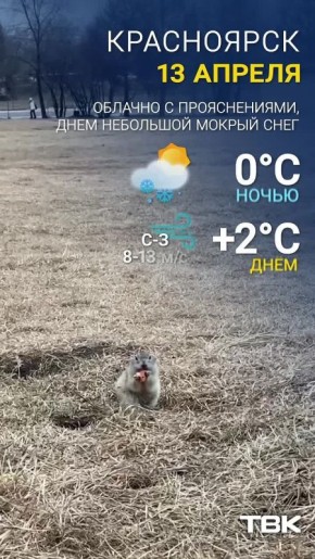 Погода на 13 апреля. Ночью 0°C