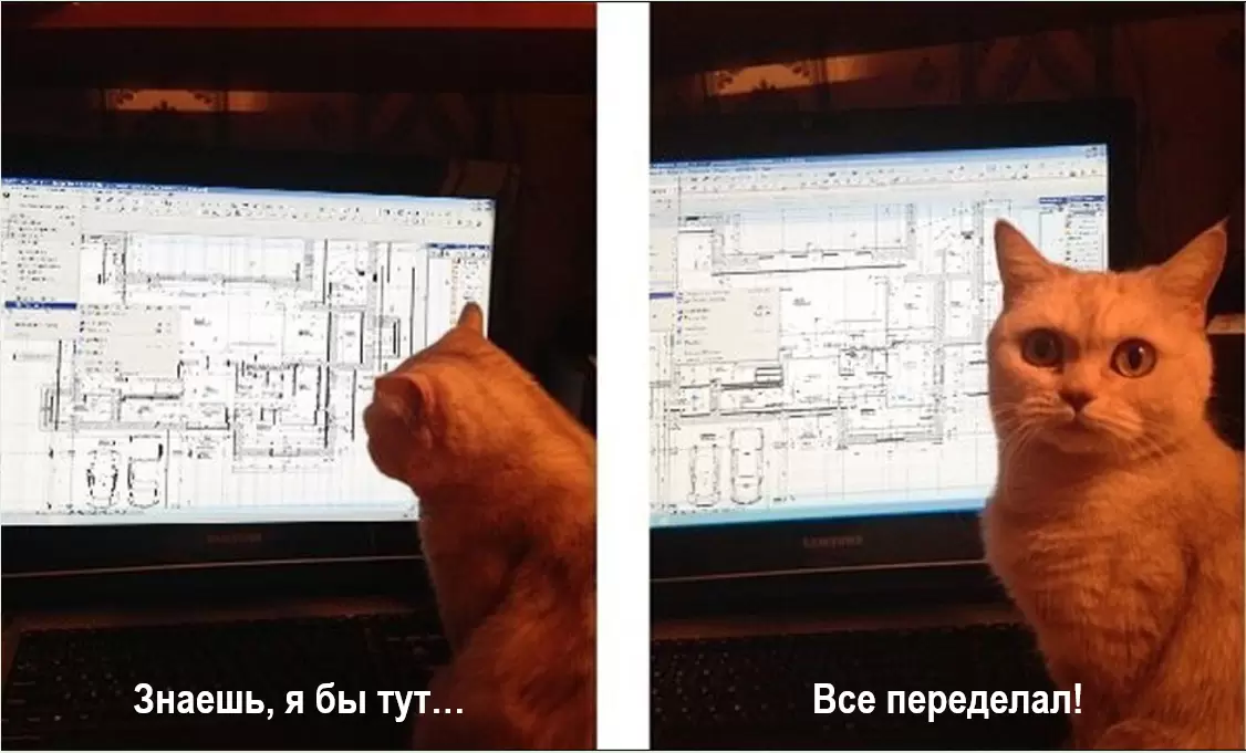 Как выбрать идеальные декоративные злаки для вашего сада: практическое руководство