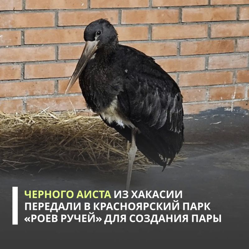 ��������������� ����� ���������� �� �������� �������������� ������� ����� � ������������ ���� ����� � ����� ����� �����