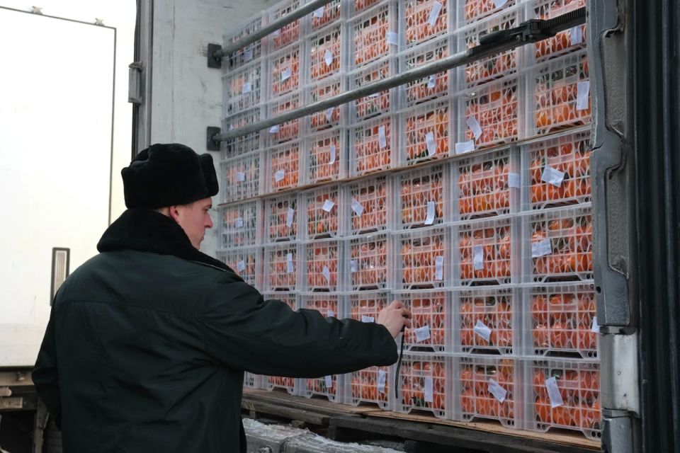 ������������ ���� �������� ������ ������������ ���������