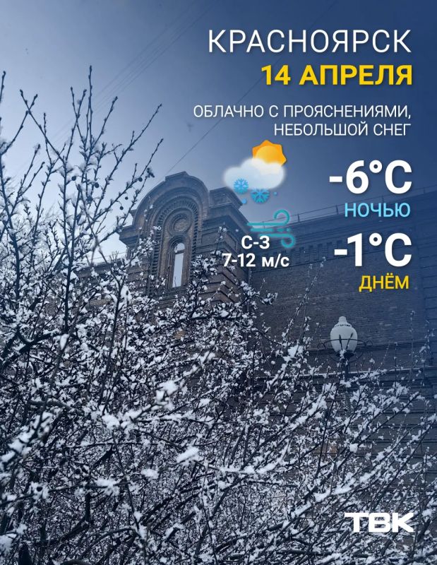������ �� 14 ������