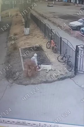 � ����������� �������� ������ ������� ���������� ������� ����� �����